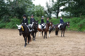 Bild 1177 - WBO-Turnier am 18.9.11